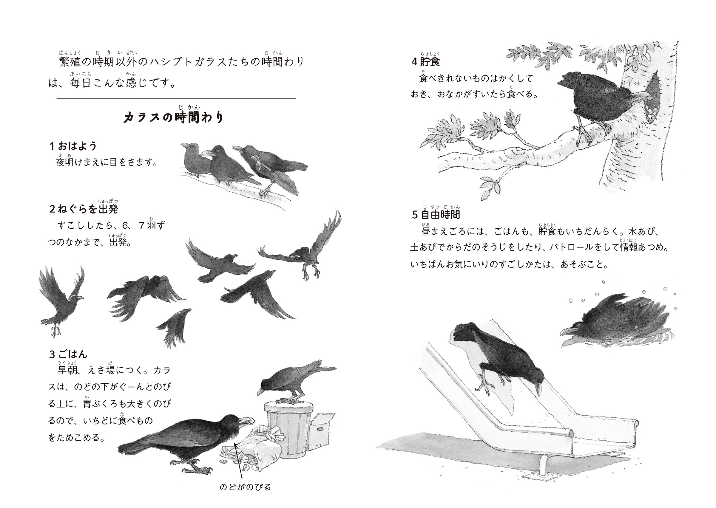 兎の眼 あらすじ 読書感想文 兎の眼 あらすじ 読書感想文 Mbaheblogjp5ypl 兎の眼 あらすじ 読書感想文 兎の眼 あらすじ 読書感想文 Mbaheblogjp5ypl