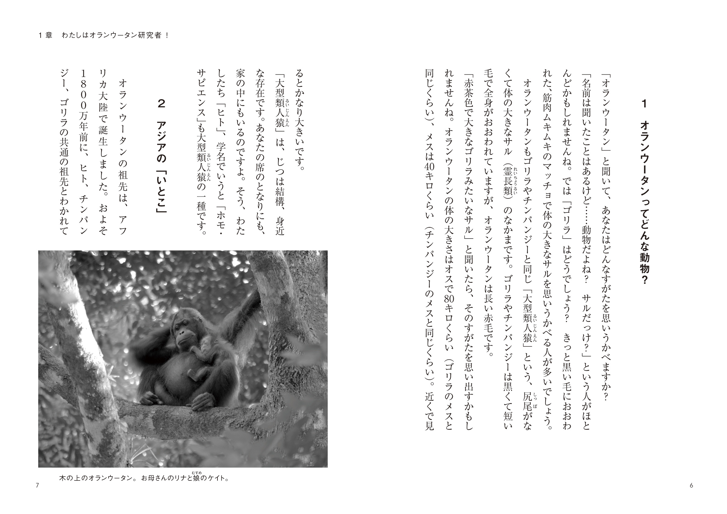 読書感想文全国コンクール公式サイト